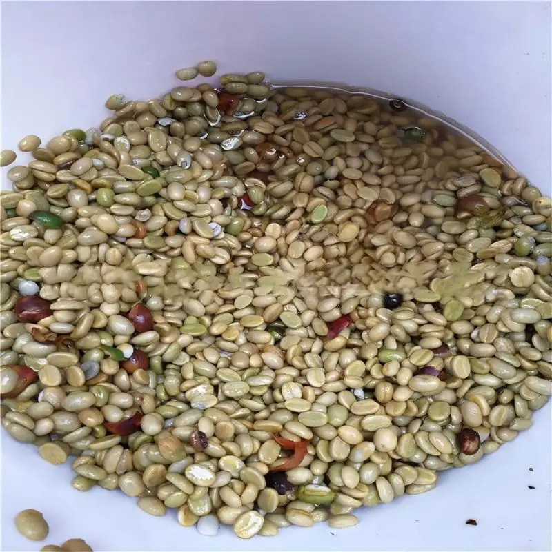 Birui High Productivity Stainl - Coffee Equipment In China ulasan dan harga